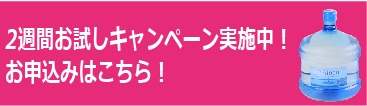 ２週間お試しキャンペーン